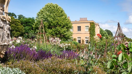 Colourful summer flower beds in the Terrace Garden at Killerton